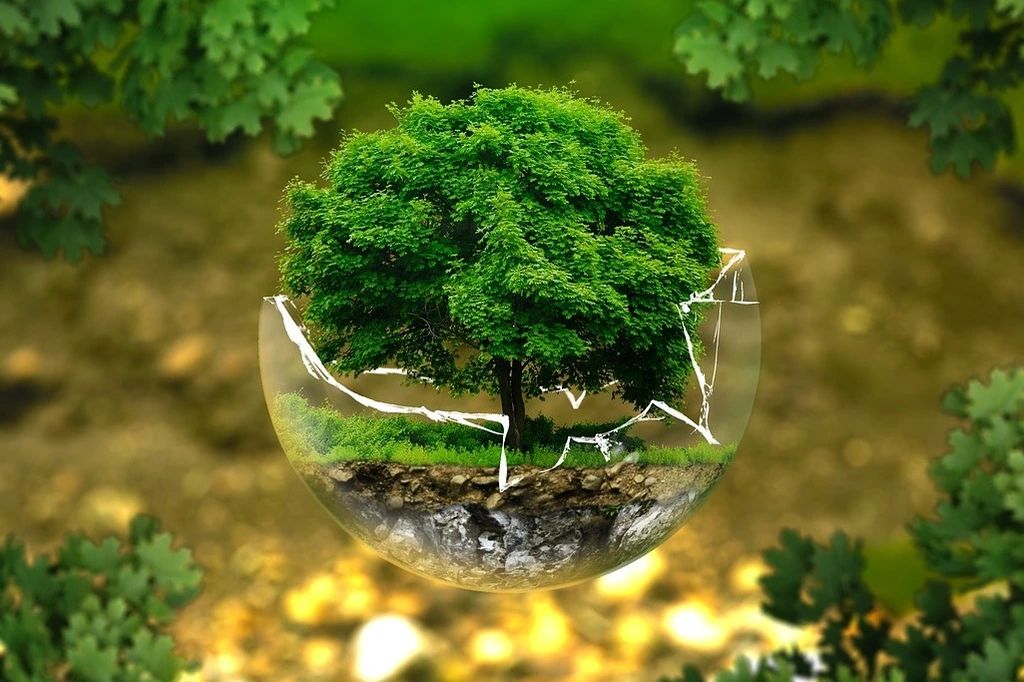 Green Life Technology: Paving the Way for Sustainable Living